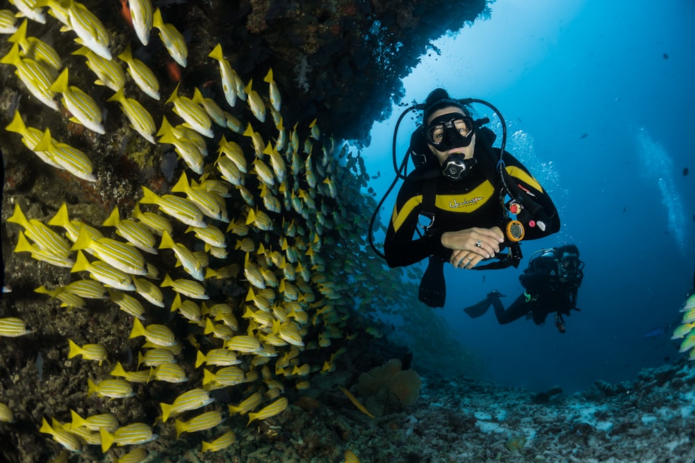 North Bay Island Snorkeling Trip