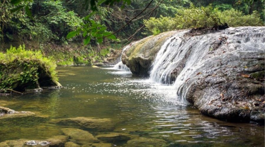 Eco-Friendly Travel in Andaman: Sustainable & Responsible Tips